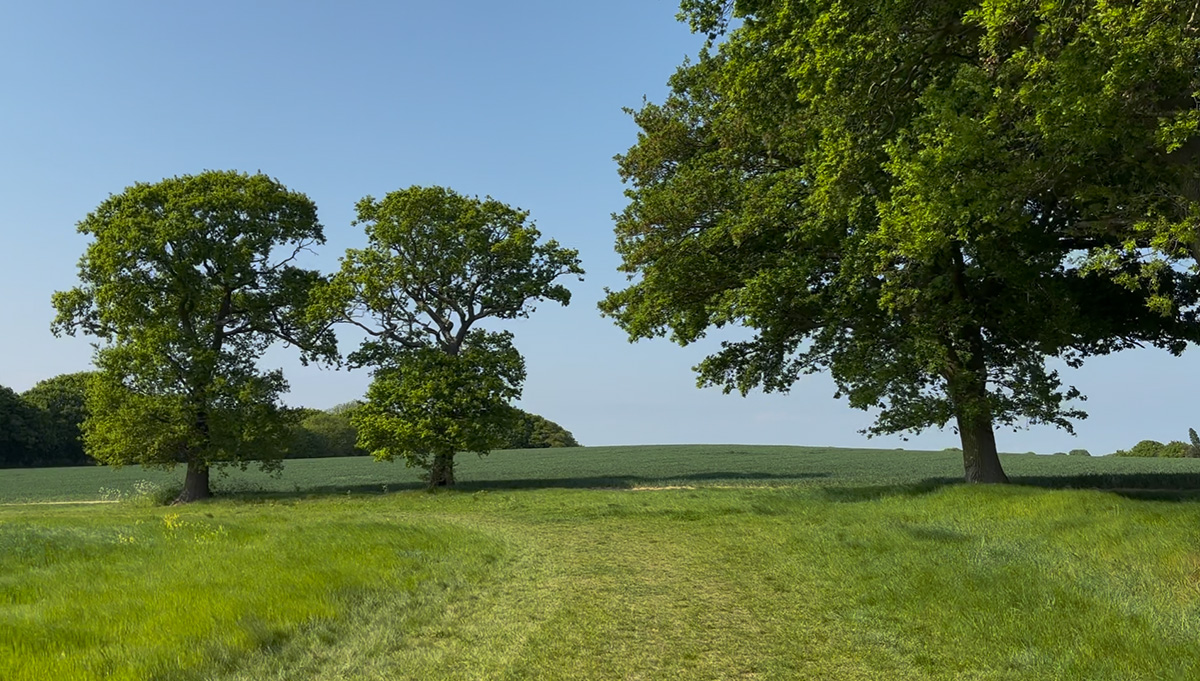 Hidden Archaeological Gems of the Upper Roach Valley